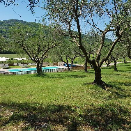 Il Vecchio Gelso - Agriturismo Rimini Montefiore Conca Villa Exteriör bild