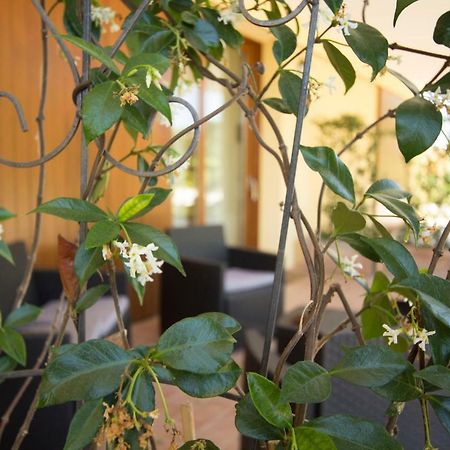 Il Vecchio Gelso - Agriturismo Rimini Montefiore Conca Villa Exteriör bild