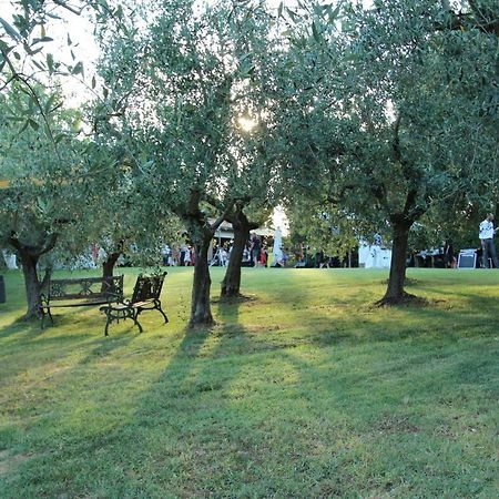 Il Vecchio Gelso - Agriturismo Rimini Montefiore Conca Villa Exteriör bild