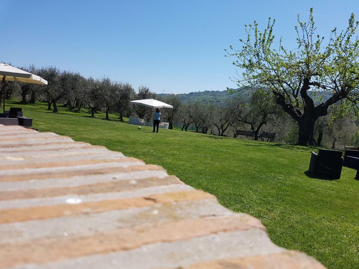 Il Vecchio Gelso - Agriturismo Rimini Montefiore Conca Villa Exteriör bild