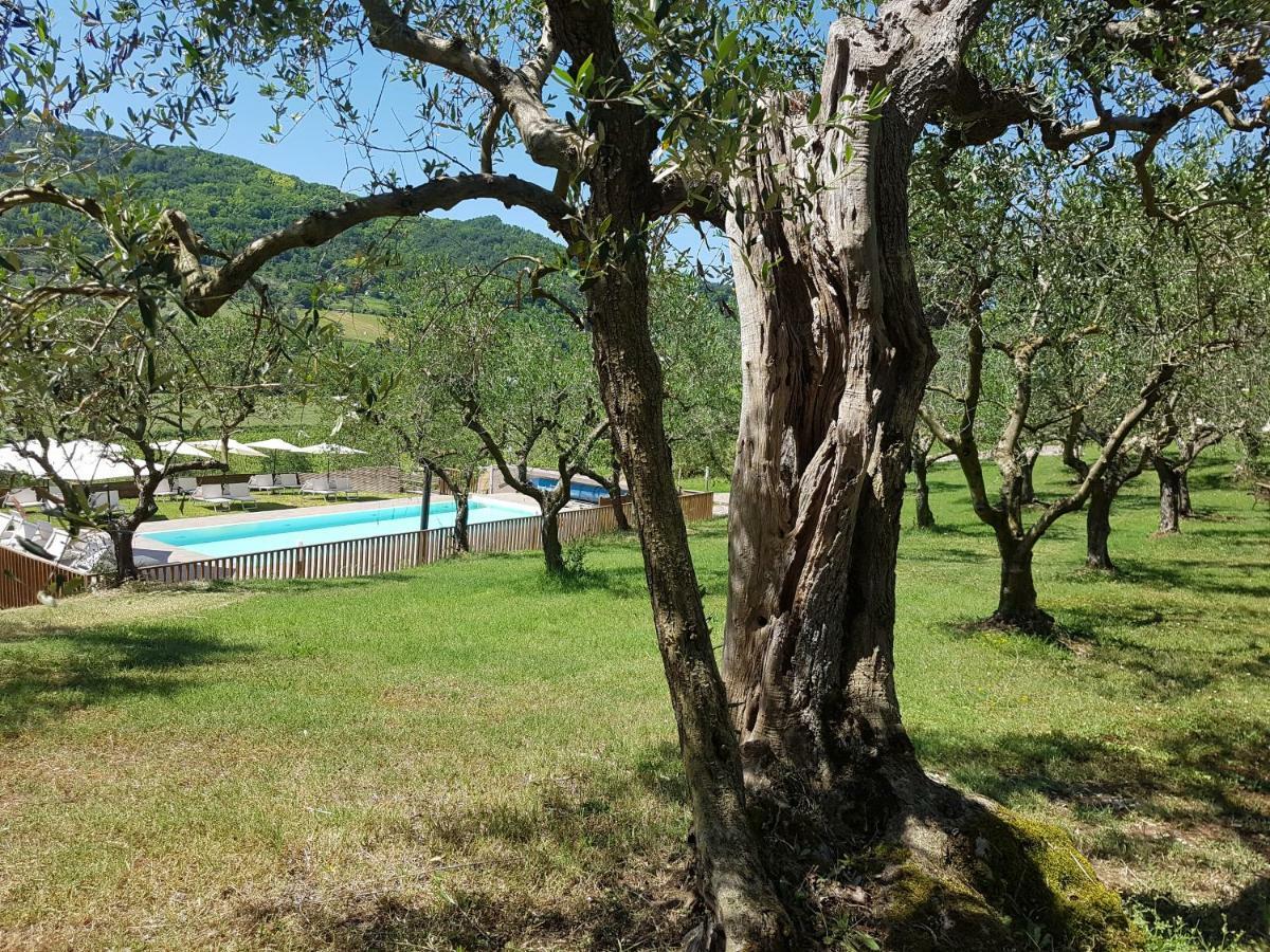 Il Vecchio Gelso - Agriturismo Rimini Montefiore Conca Villa Exteriör bild