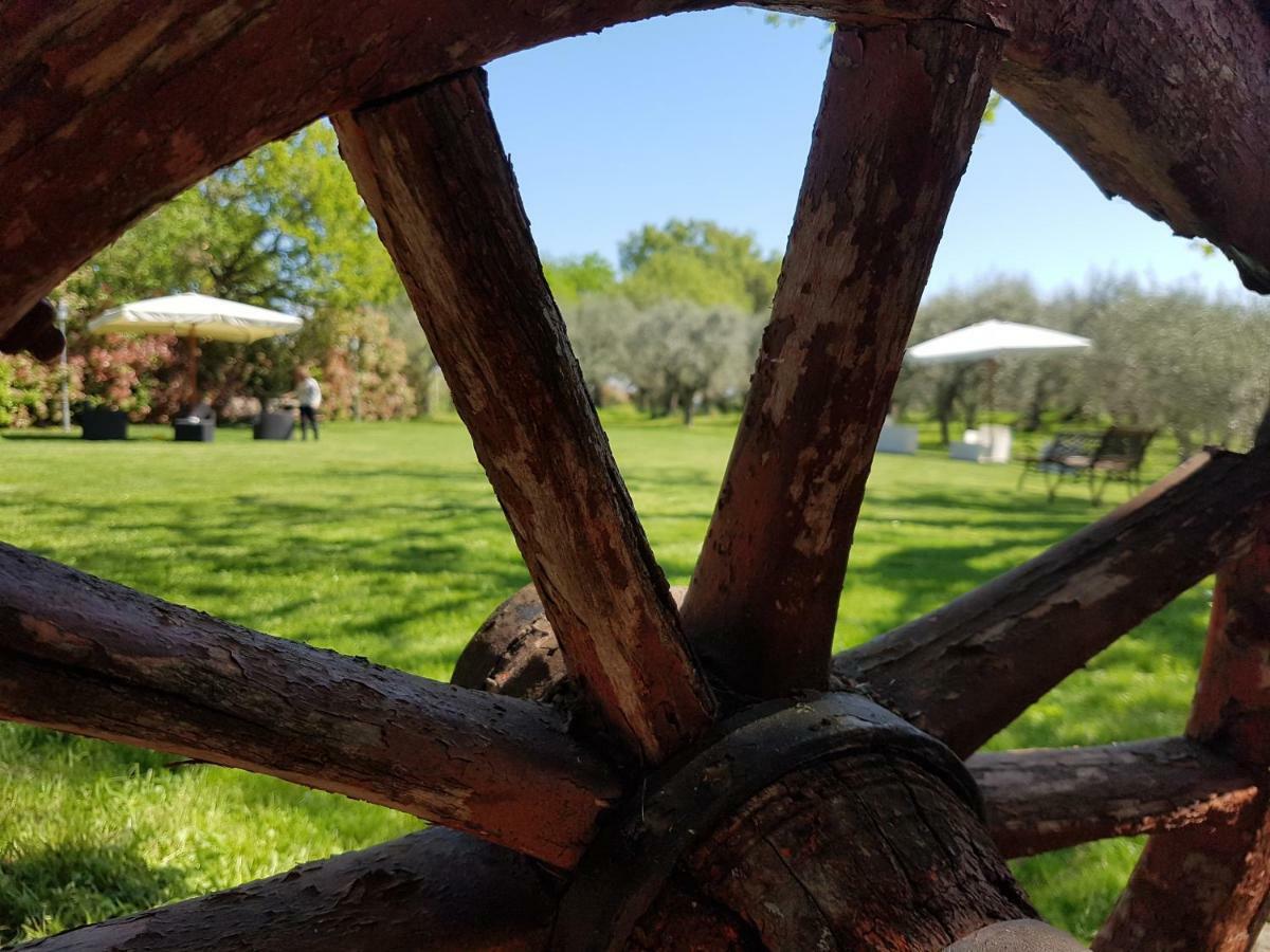 Il Vecchio Gelso - Agriturismo Rimini Montefiore Conca Villa Exteriör bild