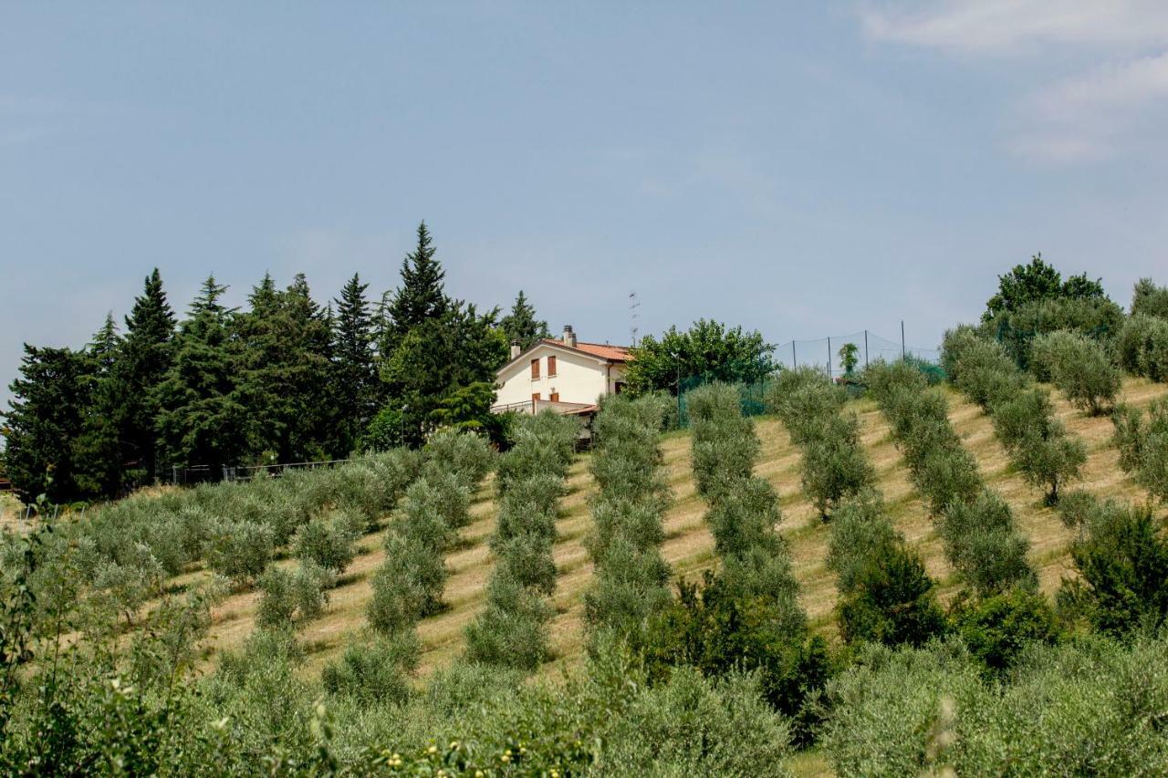 Il Vecchio Gelso - Agriturismo Rimini Montefiore Conca Villa Exteriör bild
