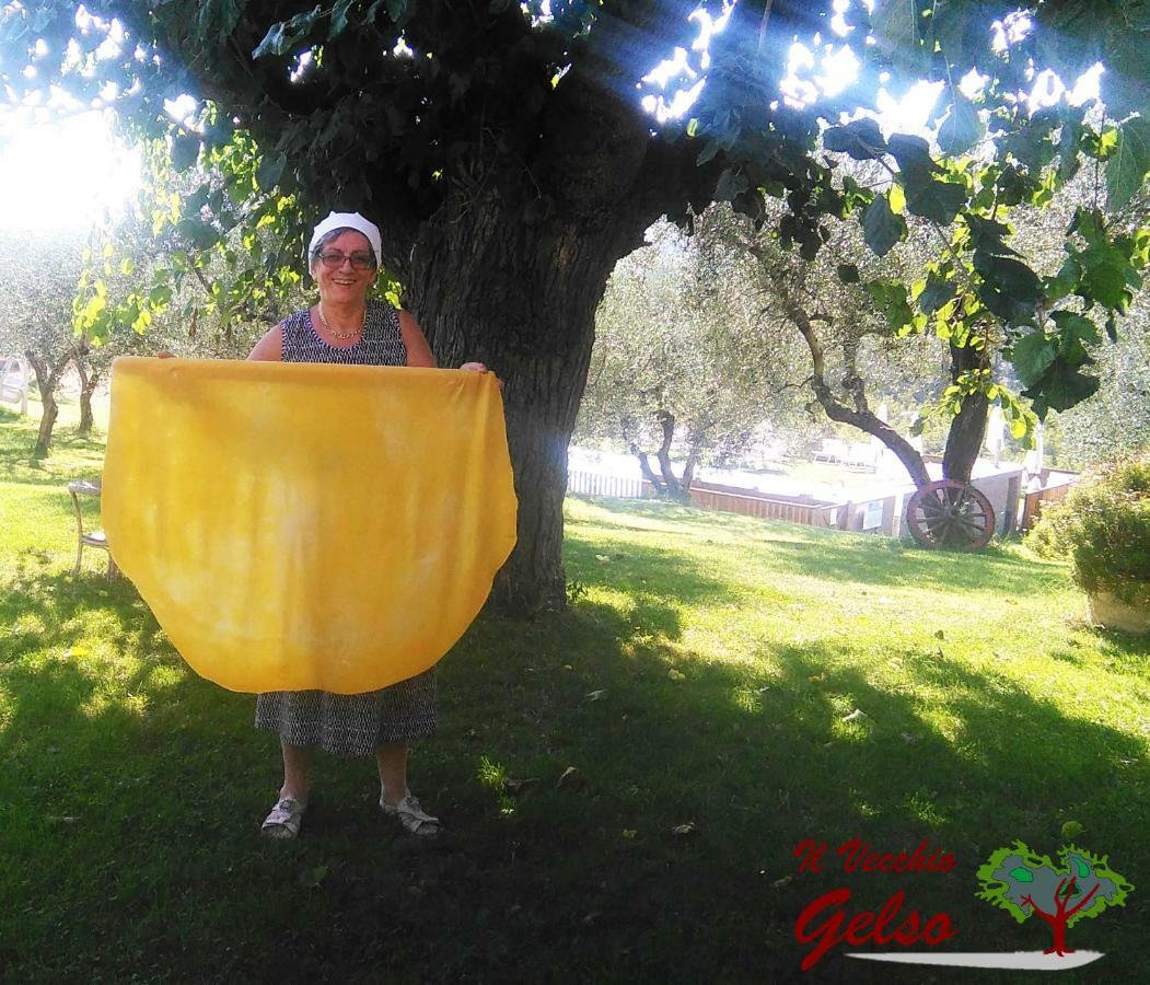 Il Vecchio Gelso - Agriturismo Rimini Montefiore Conca Villa Exteriör bild