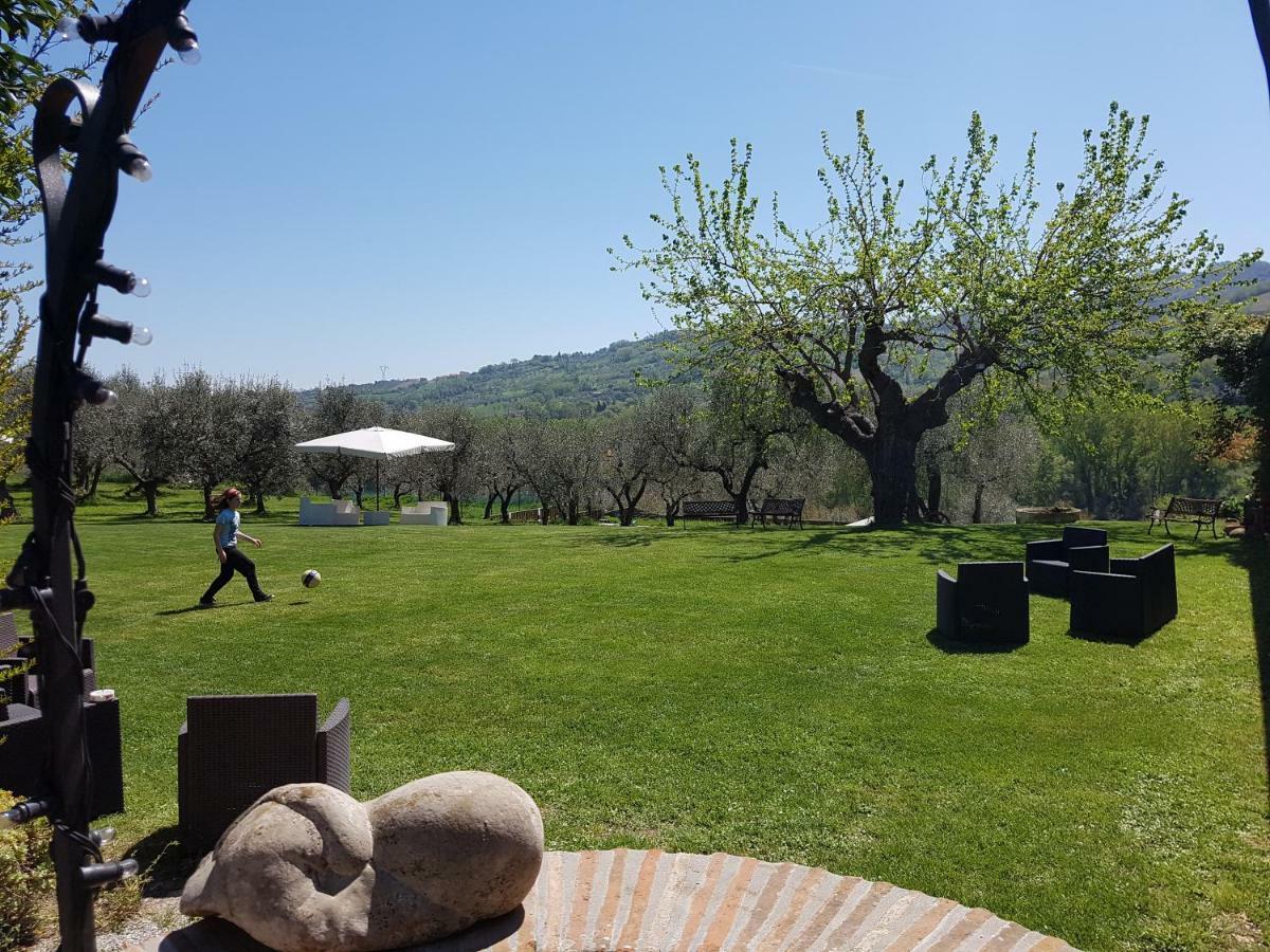 Il Vecchio Gelso - Agriturismo Rimini Montefiore Conca Villa Exteriör bild