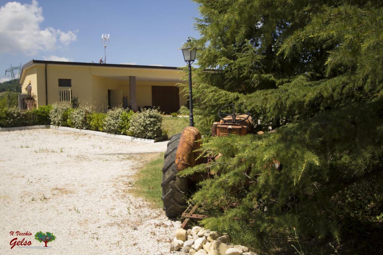 Il Vecchio Gelso - Agriturismo Rimini Montefiore Conca Villa Exteriör bild