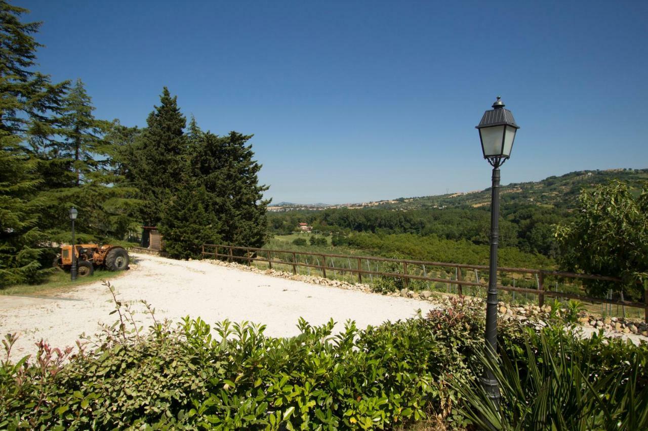 Il Vecchio Gelso - Agriturismo Rimini Montefiore Conca Villa Exteriör bild