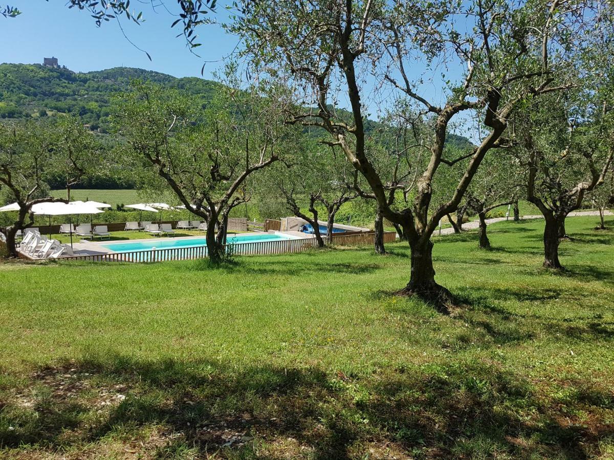 Il Vecchio Gelso - Agriturismo Rimini Montefiore Conca Villa Exteriör bild