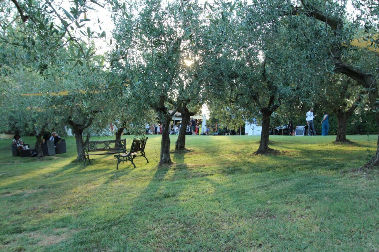 Il Vecchio Gelso - Agriturismo Rimini Montefiore Conca Villa Exteriör bild