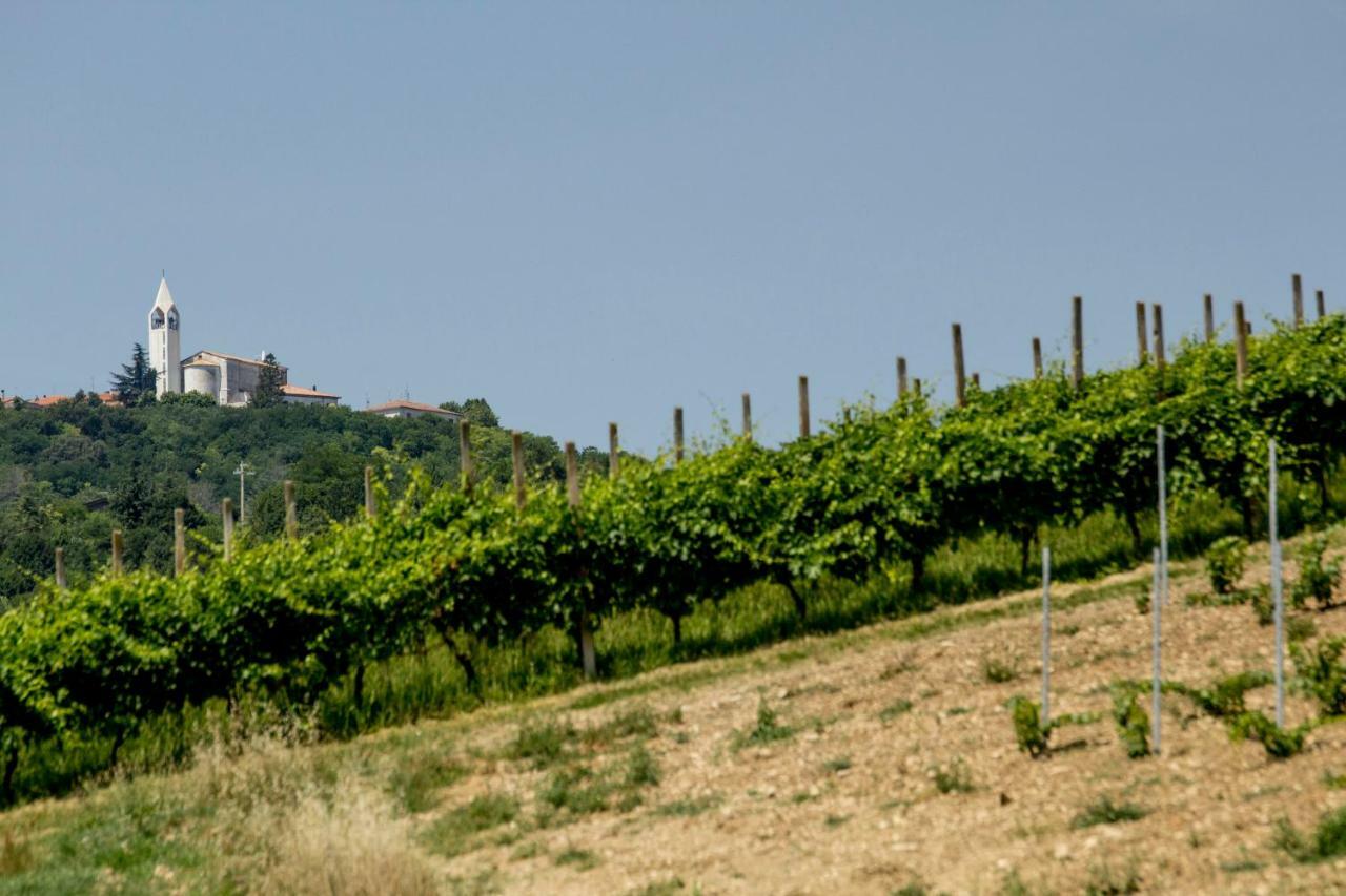 Il Vecchio Gelso - Agriturismo Rimini Montefiore Conca Villa Exteriör bild