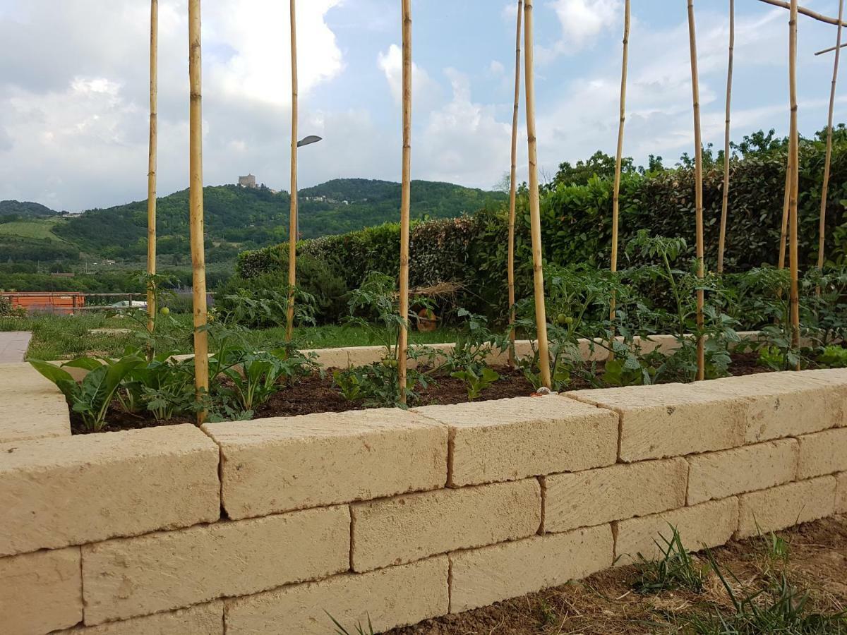 Il Vecchio Gelso - Agriturismo Rimini Montefiore Conca Villa Exteriör bild